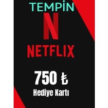 Netflix Hediye Kartı 250 TL