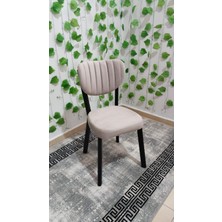 Özcan Mobilya Aksesuar 2 Adet  Metal Ayak Elma Mutfak Salon Sandalyesi Kafe Restoran Sandalyesi Metal Demonte Sandalye