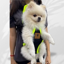 Epatim Kedi Köpek Ana Kucağı