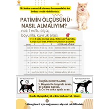 Epatim Kedi Köpek Ana Kucağı