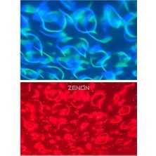 Cngzhn Galaxy Cover Multifonksiyon Projektör