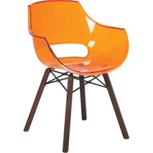 Opal Wox I Iroko Wood Sandalye 2 Adet