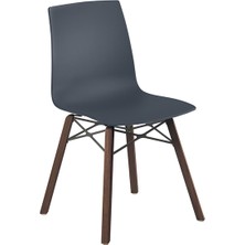 X-Treme S Wox I Iroko Sandalye 2 Adet