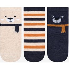 Penti Erkek Çocuk Cold Bear 3lü Çok Renkli Soket Çorap