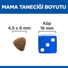 Hills Kitten Tavuklu Yavru Kedi Maması 1+0.5 kg