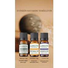 Lumvor Hava Temizleyici Uçucu Yağı 30 ml 3'lü Set %100 Saf Ve Doğal (ESSENTİAL OİL) Aromaterapi