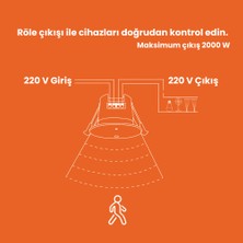 Novato Zigbee Tuya 24 Ghz Röle Çıkışlı Tavan Tipi İnsan Varlığı Sensörü