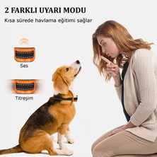 Hopdiye KPL005 Köpek Eğitim Tasması Pilli 3-15 kg Için Uygun Havlama Tasması Şoksuz