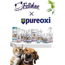 Pureoxi Pet Şampuanı 400 ml - Doğal Hocl Formullü Pet şampuanı