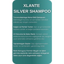 Xlante Profossionel Sılver Mor Shampoo 1000ML-TURUNCULAŞMA Karşıtı