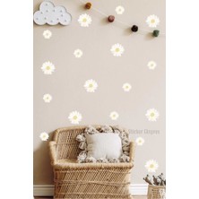 Mediterian Soft Krem Papatyalar Duvar Sticker