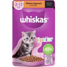 Whiskas Pouch Sos Içinde Kümes Hayvanlı Yavru Kedi Konservesi 85GR - Lisinya