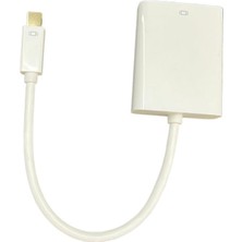 Prolink MP350 Mini Displayport To Dişi Dvı-D Çevirci