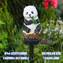 Dekohop Solar Güneş Enerjili Aplik Panda LED Lamba Bahçe Veranda Merdivenlerinizde Şık Peyzaj Aydınlatması 1 Adet Saplamalı