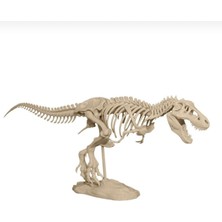 T-Rex Iskeleti
