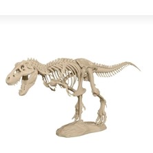 T-Rex Iskeleti
