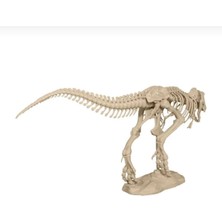 T-Rex Iskeleti
