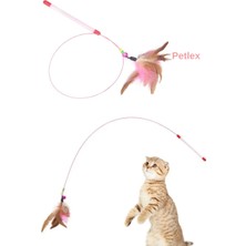 Petlex Kedi Oyun Oltası Rekli Tüylü Boncuklu Kedi Oyuncağı
