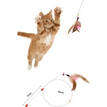 Petlex Kedi Oyun Oltası Rekli Tüylü Boncuklu Kedi Oyuncağı