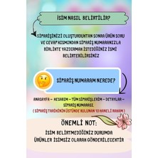 Abi Oldu Aslan Temalı Yazılı Kişiye Özel Çocuk 2'li Kombin