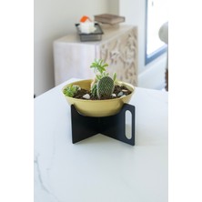 Rarart Siyah & Gold Metal Küçük Çok Amaçlı Dekoratif Kase - Ayaklı Saksı - Handlepot Small