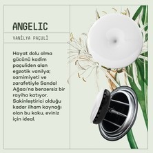 Araba Klima Kokusu, Spin Oto Kokusu, Profesyonel Otomobil Kokusu - Angelic 6 Adet