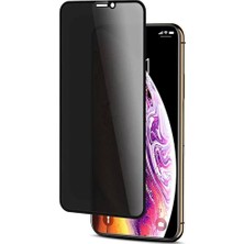 Alponso iPhone 11 / iPhone Xr Privacy Hayalet Cam Ekran Koruyucu