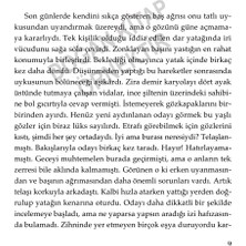 Demans / Bir Unutma Hikâyesi - Ş. Ülkü Altundal Ercan