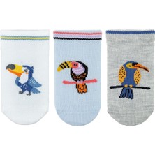 Bross Bebek 3lü Kuş Desenli Patik Çorap ONL-02518