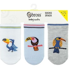 Bross Bebek 3lü Kuş Desenli Patik Çorap ONL-02518