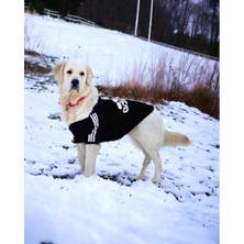 Adidog Büyük Irk Köpek Sweatshirt, Hakiki 3 Iplik, Kalın ve Yumuşak Premium Kumaş, Büyük Köpek Kıyafeti, Golden