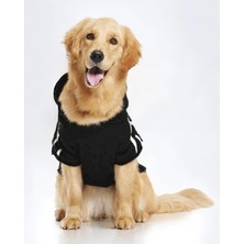 Adidog Büyük Irk Köpek Sweatshirt, Hakiki 3 Iplik, Kalın ve Yumuşak Premium Kumaş, Büyük Köpek Kıyafeti, Golden