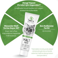 Vet's Plus Anti-Hairball Malt Macun 100gr (Tüy Yumağı Önleyici)