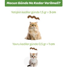 Vet's Plus Anti-Hairball Malt Macun 100gr (Tüy Yumağı Önleyici)