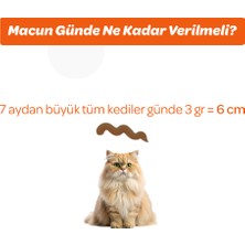 Vet's Plus Multivitamin Malt Macun 100gr (Yetişkin Kediler için Multivitamin Desteği)