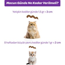 Vet's Plus Sterilised Malt Macun 100gr (Kısır Kediler için Tüy Yumağı Önleyici)