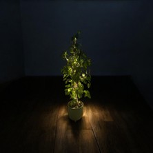 Peri LED Işık - Işık - Süsleme - LED