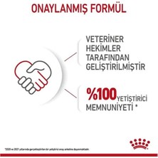 Royal Canin Starter Mousse Yavru Konserve Köpek Maması 195 gr