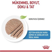 Royal Canin Starter Mousse Yavru Konserve Köpek Maması 195 gr