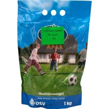 Dsv Trifolium Repens Yonca Aküçgül 1 kg - Çim Yoncası