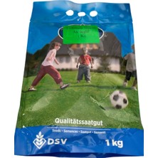 Dsv Trifolium Repens Yonca Aküçgül 1 kg - Çim Yoncası