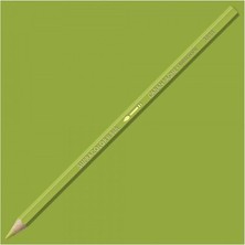 Caran D'Ache Supracolor Soft Khaki Green 016