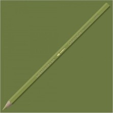 Caran D'Ache Supracolor Soft Olive Grey 018