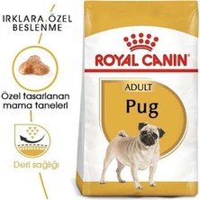 Royal Canin Pug Adult Yetişkin Köpek Maması 1.5 kg