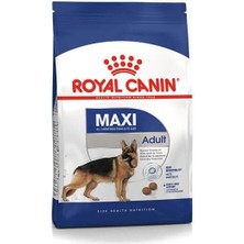 Royal Canin Maxi Adult Büyük Irk Yetişkin Köpek Maması 15 kg