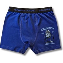 Giza Kids Erkek Çocuk Karışık Renkli 6lı Boxer Seti