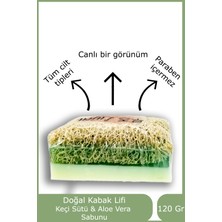 Lujeu Doğal Kabak Lifli Aloe Vera Ve Keçi Sütlü Sabun