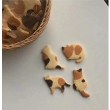 Rapithwin Kedi Kurabiye Kalıbı Seti (4 Parça)