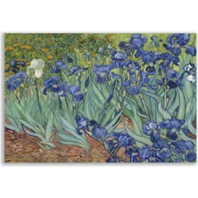 Vientex Vincent Van Gogh Bahçedeki Süsenler Tablosu - FMS119