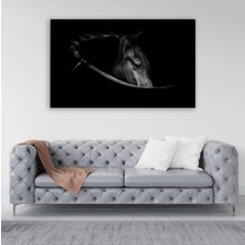 Vientex At Siyah Beyaz Tablosu - BLK131